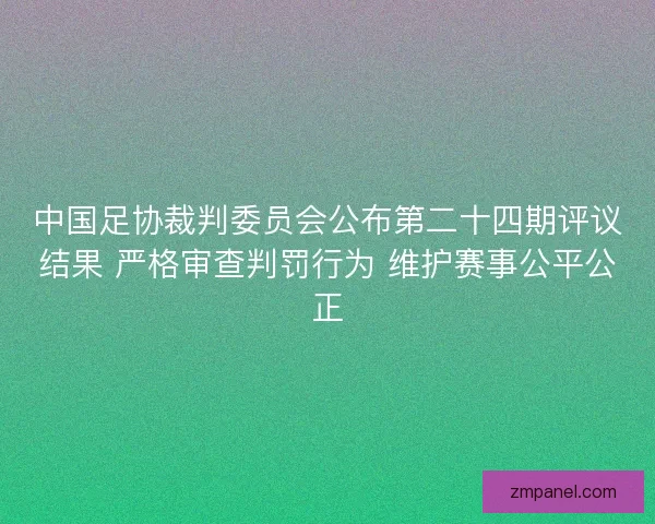 中国足协裁判委员会公布第二十四期评议结果 严格审查判罚行为 维护赛事公平公正