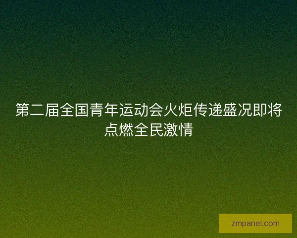 第二届全国青年运动会火炬传递盛况即将点燃全民激情